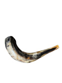 Shofar naturalny róg barani