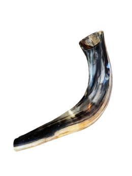 Shofar naturalny róg barani