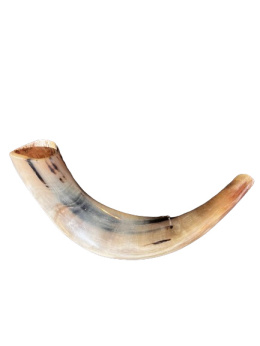 Shofar róg Barani